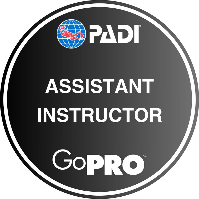 PADI Assistant Instructor