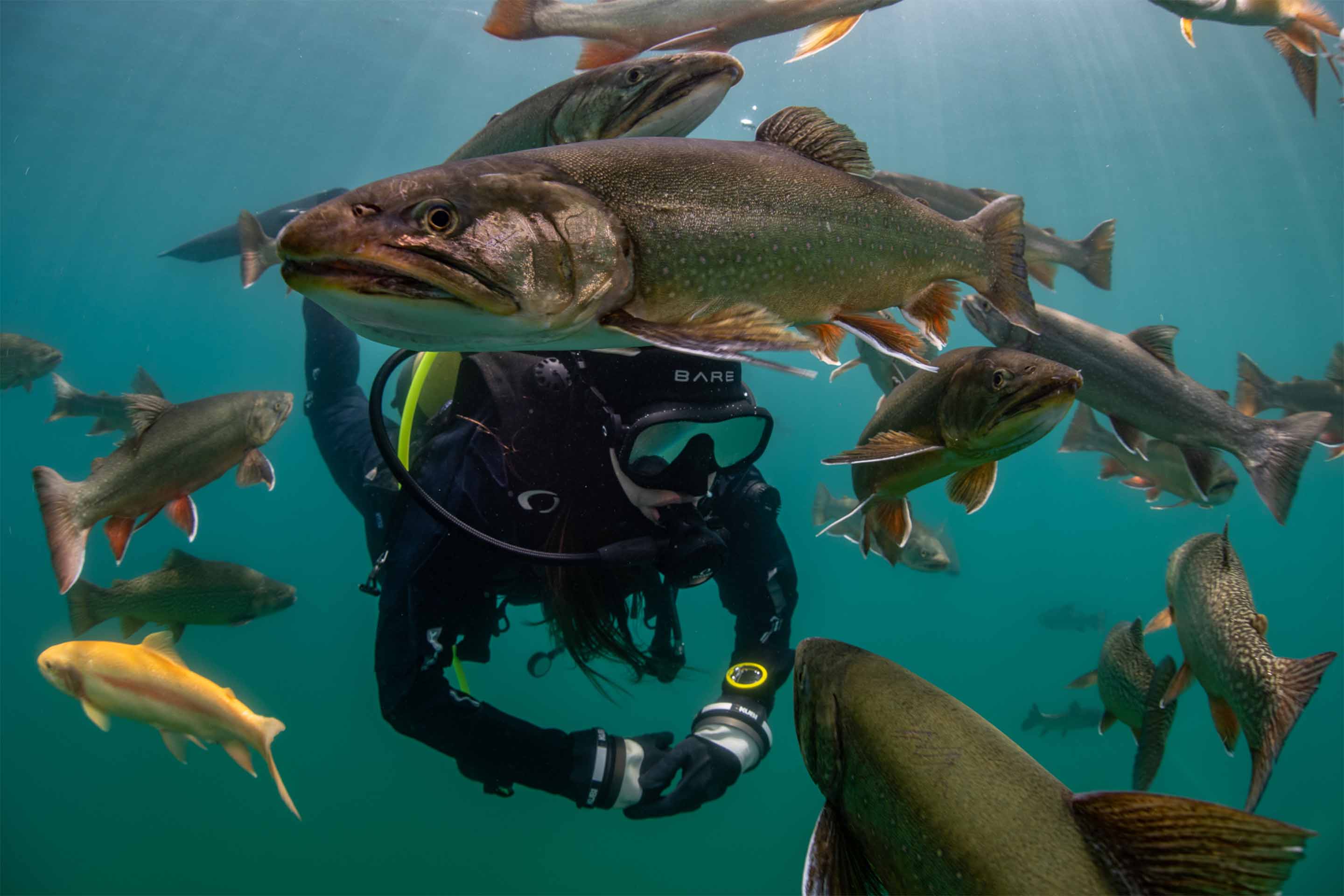 scuba diving solihull